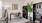 a room with a chair and a plant in it